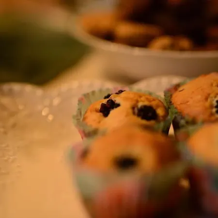 Divnica Raj Tatil Evi