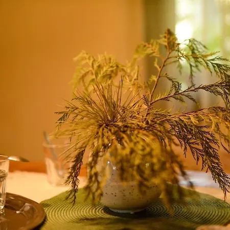 Divnica Raj * Požega